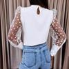 European-American 2025 Spring/Summer Women's Mesh Lace Patchwork Chiffon Long-Sleeve Blouse