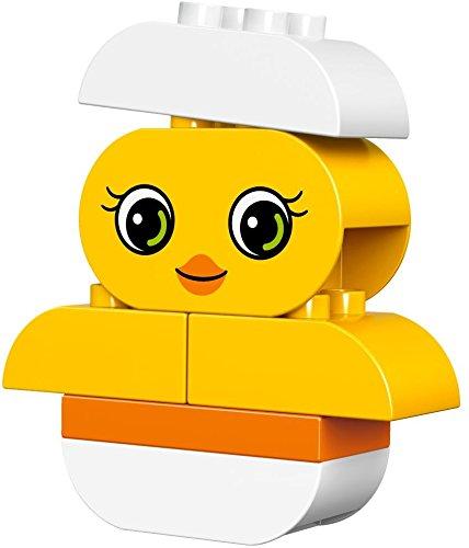 LEGO DUPLO Idea Box 10817 DUPLO® <Extra Set>
