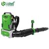 LiChen Cordless Backpack Blower CN Plug (adapter Included)