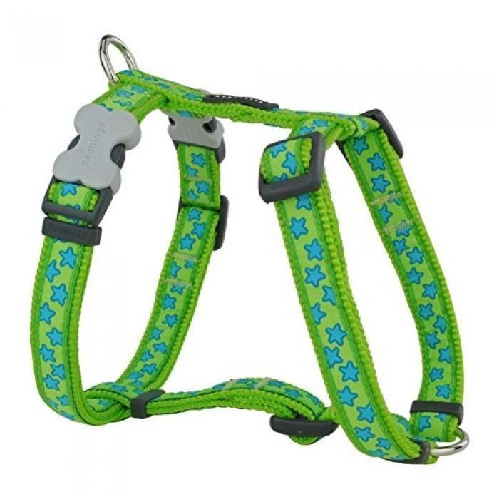 Harnais Réglable Pour Chien - RED DINGO - Vert Avec Étoiles Bleues - 37 À 55 Cm - 15 Mm