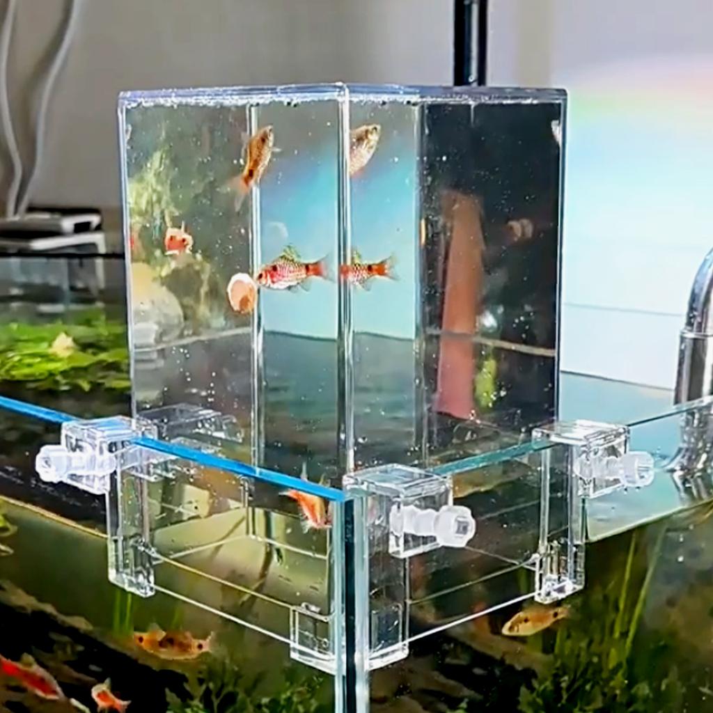 Acryl-Fischturm-Luftverlängerungs-Aquarium für die ökologische Landschaftsgestaltung. Bequemer Beobachtungs- und Sichtbereich, vergrößert den Raum