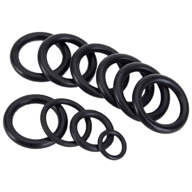 Fluororubber O-Ring Seal