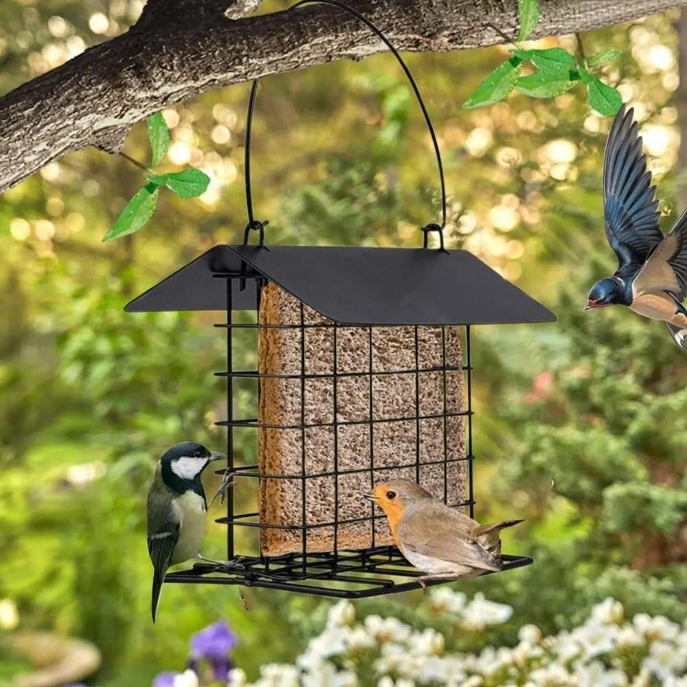 Large Capacity Hanging Birds Feeder Rust Resistant Suet Holder Bird Feeding Station Outdoor Use