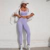 Cross-Border High-Waist Yoga Set: Quick-Dry Sports Bra & Long Pants