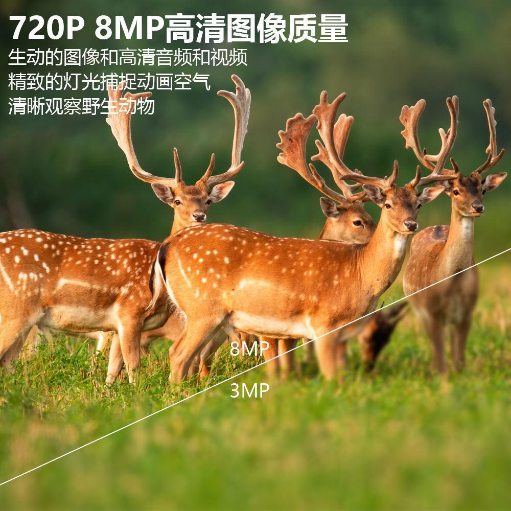 PR300A/PR300C Wildkamera 8MP 720P Wildtier-Jagdkamera 0,3s Auslöser 15-20M Nachtsicht IP54 Wasserdicht Outdoor-Entfernungsüberwachungskamera