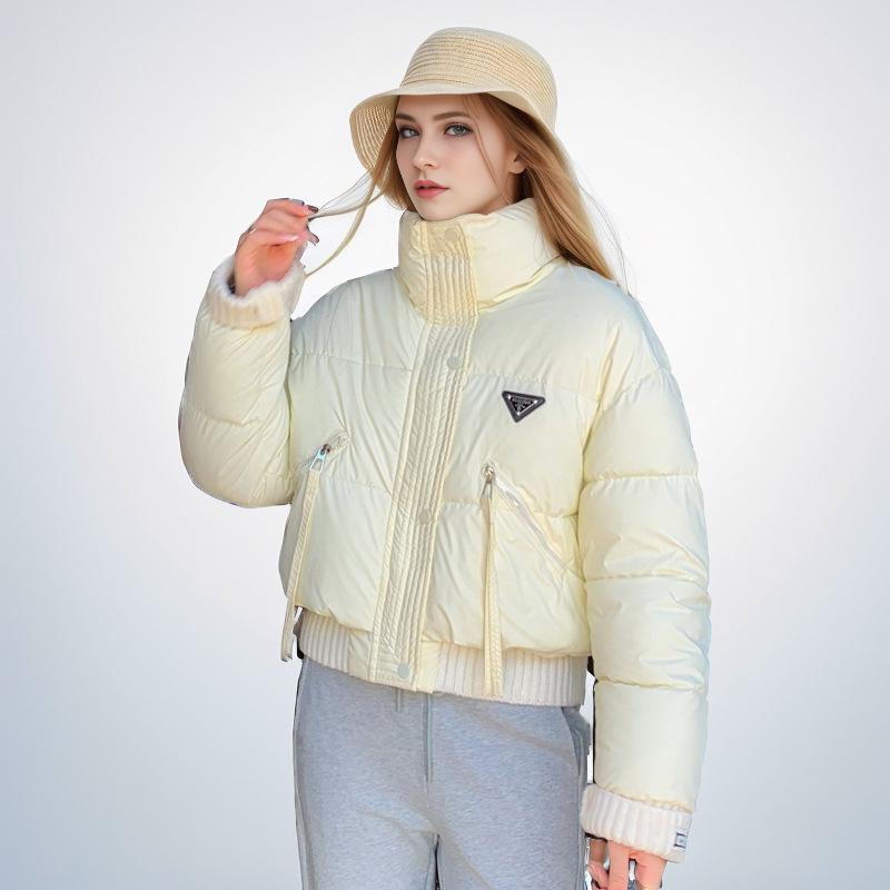 stand-up collar jacket short down cotton clothes women's  winter small thickened warm bread clothes jacket