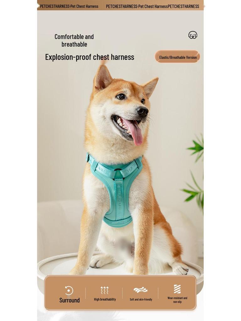 Adjustable Vest-Style Anti-Pull Dog Harness & Leash for Medium To Large Dogs