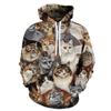 Autumn Animal Cat Pattern 3D Printed Hoodies Fashionable Casual Sports Long Sleeved Men's Hooded Sweatshirts