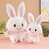 Wishing Rabbit Doll Plush Toy Cute Rabbit Doll Pillow Doll Machine Exchange Gifts