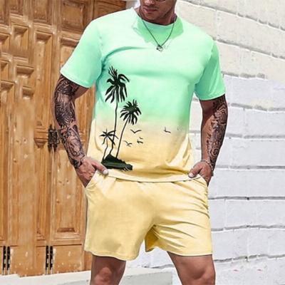 Men's Graphic Color Block Coconut Tree 2pcs Tees Sets Shorts and T Shirt Set T-Shirt Outfits Beach T Shirt