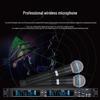 Weishu DC-16S Professional True Diversity Wireless Handheld Microphone System (CN version)