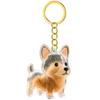 1/6Pcs Clear Pet Hair Memorial Keychain Dog Furs Collector Keepsakes Plastic Storage Box For Dog Cats Lover Gift