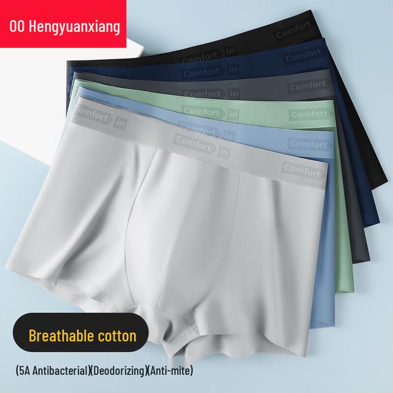 Men's Plus Size 5A Antibacterial Cotton Boxer Briefs