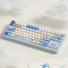 TUTKEYS Flying Bird Theme Keycap Set PBT+PC Custom Blue Minimalist Keyboard Cap Cherry Profile KeyCap for Keyboard Accessories