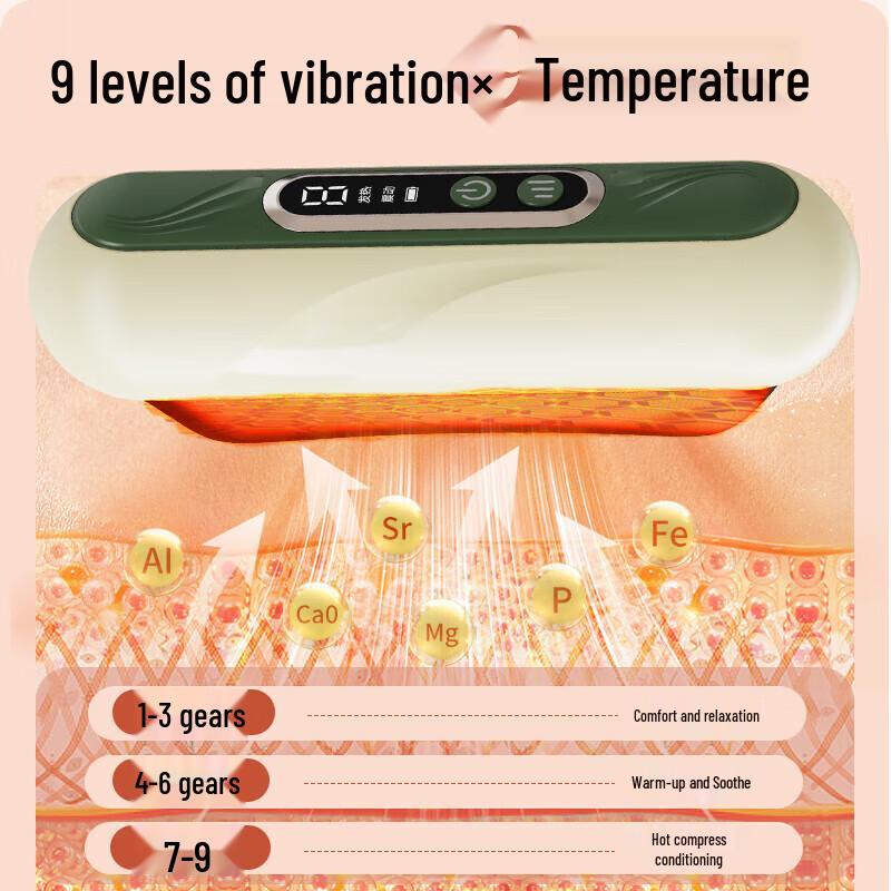 Hezheng Electric Bianstone Gua Sha Massager