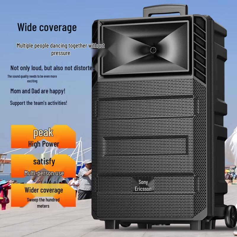 Soaiy SA-T20 12-inch Portable Bluetooth Karaoke Speaker CN plug (adapter included)