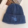 Internet celebrity autumn and winter hat women's new colored wool hat women's warm ear protection street versatile letter embroidery knitted hat