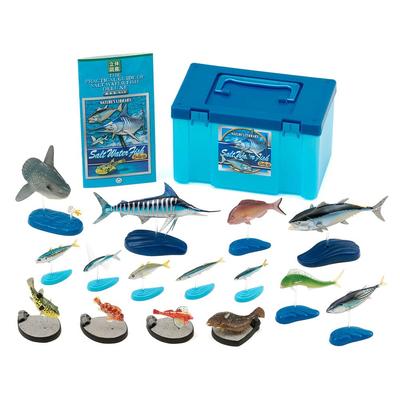 Calorata Salzwasserfische 3D Enzyklopädie Arten Beinhaltet Ständer und Realistische Figuren Geburtstagsgeschenk Hygienevorschrift Fisch Geschenk (15 / Anweisungen)
