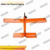 Golden Lion Type I RC Target Drone (Ready-to-Fly)