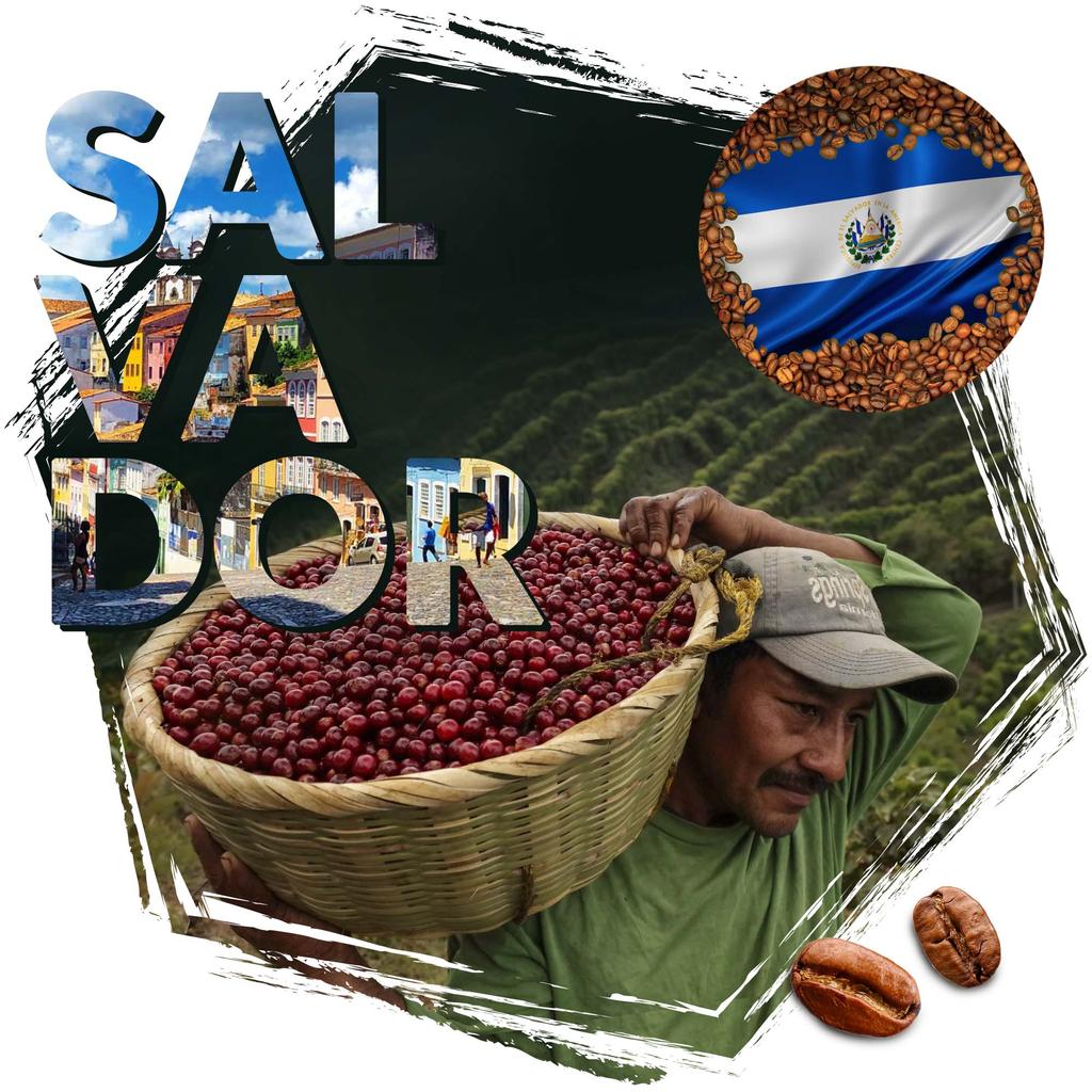 Kawa ziarnista cafeiere arabica salwador shg ep, 500 g
