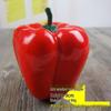 Fruit and Vegetable Model Props for Photography and Educational Use
