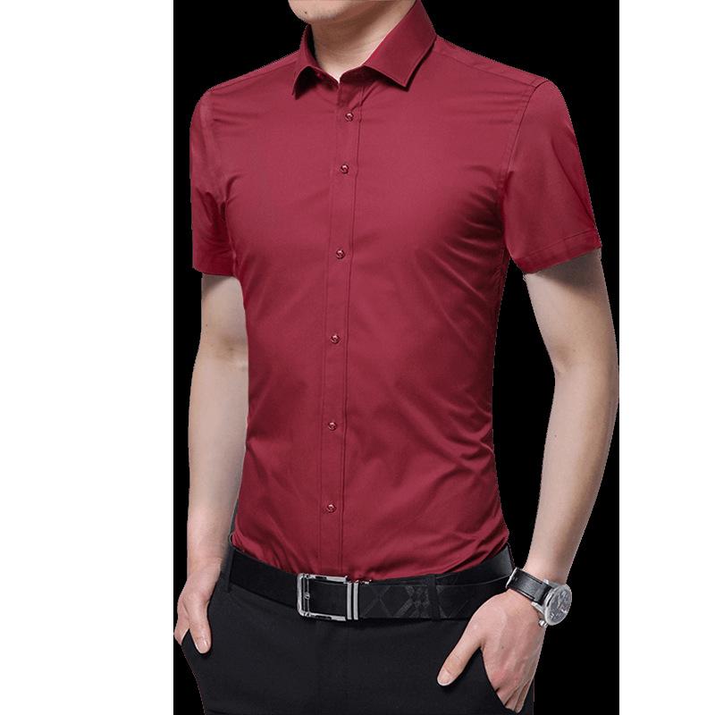 2021 Spring/Autumn Men's Iron-Free Long Sleeve Shirt - Youth Business, Solid Color, Turn-Down Collar.