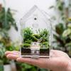 Portable Jumping Spider Enclosure Front Opening Ventilation Holes Tarantula Terrarium Transparent Acrylic Bug Habitat