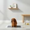 Pet Training Pad Non Woven Fabric 200 pcs 45 x 33 cm Black