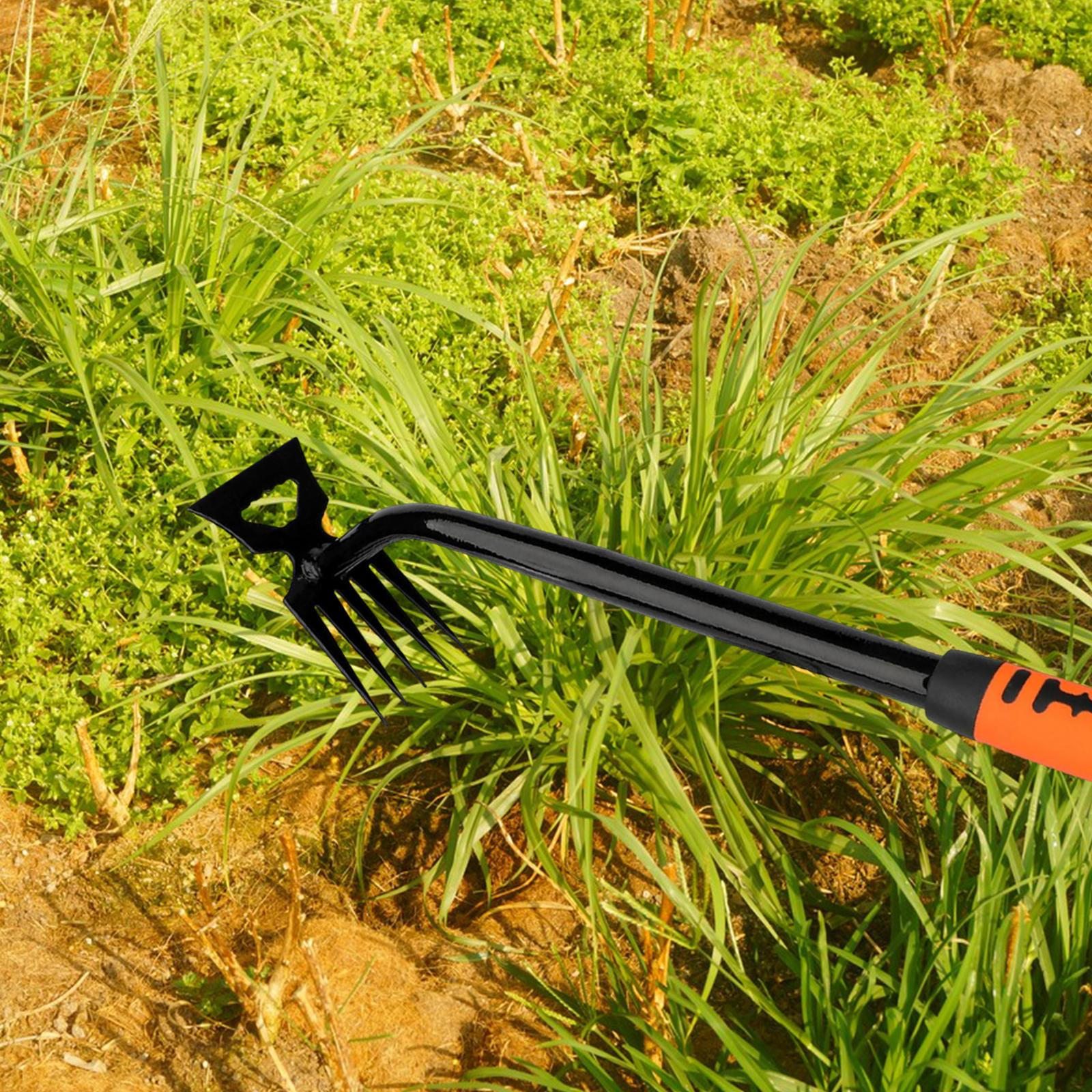 

Hand Weeder Rustproof Lightweight Weeds Removal Tool for Lawn Farm Courtyard 5 Tooth 5 Tooth