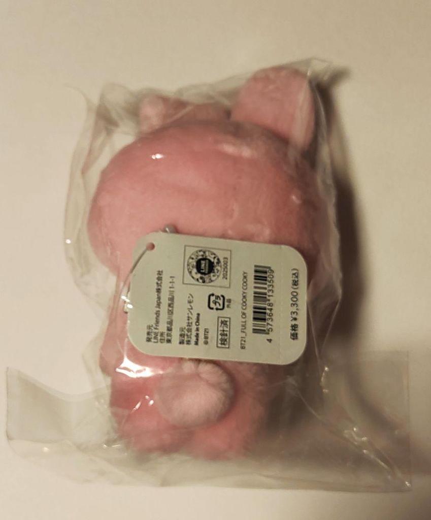 [USED] BT21 Plush Toy FULL OF COOKY BTS Jungkook Birthday