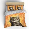 Surprised cat with radiant background Print Soft Comfortable Duvet Cover Bedding Set Included 1*Duvet Cover 2*Pillowcases