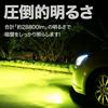 Meliore LED Fog Light Fog Light 24V Green Apple Lime Green Green Lemon Yellow Yellow H8 H9 H11 H16