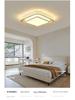 Nordic Minimalist Modern Ceiling Light for Living Room, Hall, Dining Room, and Bedroom - High-End and Atmospheric Design