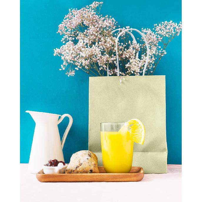 Qiqee 24PCS Medium Gift Bag with Handles Bulk 11"x5"x8" Gift Bags Eggshell Green Bags Multiple Uses (Medium Size)