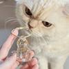 6PCS Pet Hair Storage Case - Plastic Kitten Figurine Clear Case for Pet Lovers. Portable Pet Loss Remembrance Gift.