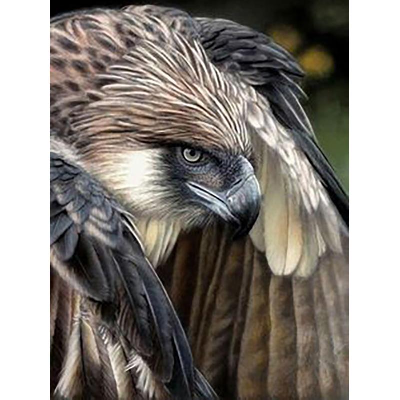 5D DIY Diamond Painting Animal Eagle Full Drill Cross Stitch Kits Round Round Mosaic Handmade Art Embroidery Home Decor Mural