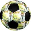 Pettson and Findus Theme Size 5 Soccer Ball, Suitable for Both Indoor and Outdoor Matches, a Gift Suitable for Everyone.