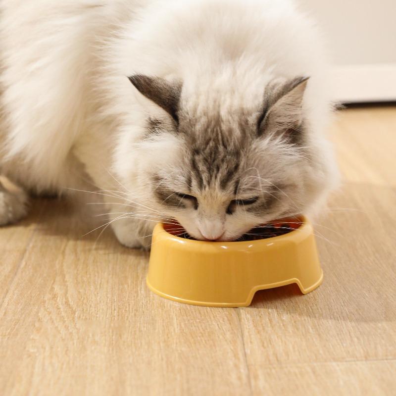 Pet Feeding Bowl, Plastic Single Bowl, Cat Feeding Basin, Economical Pet Single Bowl, Cat Bowl
