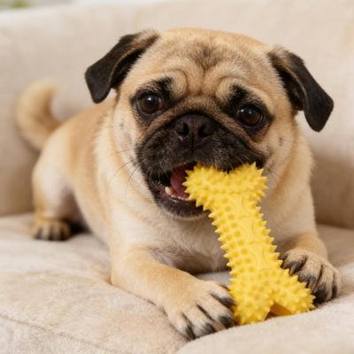 Dog Chew Bone Toy Teeth Cleaning Relaxing Gadget Puppy Chew Bone Indoor Toy for Small Medium Large Breeds Living Room Balcony