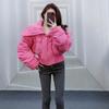 New Cotton-padded Clothes Women's Winter Short Loose Small Design Cotton-padded Clothes Cotton-padded Jackets Student Jackets