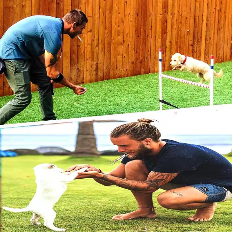 Adjustable Ultrasonic Dog Whistle Training Tool for Obedience Recall Stop Barking Pet Supplies Puppy Training Aids