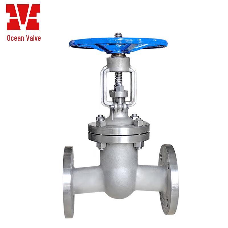 Jiangsu Yuanyang Z41W Stainless Steel Flanged Gate Valve