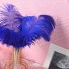Color 20-25Cm Ostrich Hair Vase Ornament Wall Feather Decoration Hand Bouquet Flower Arrangement Diy Material