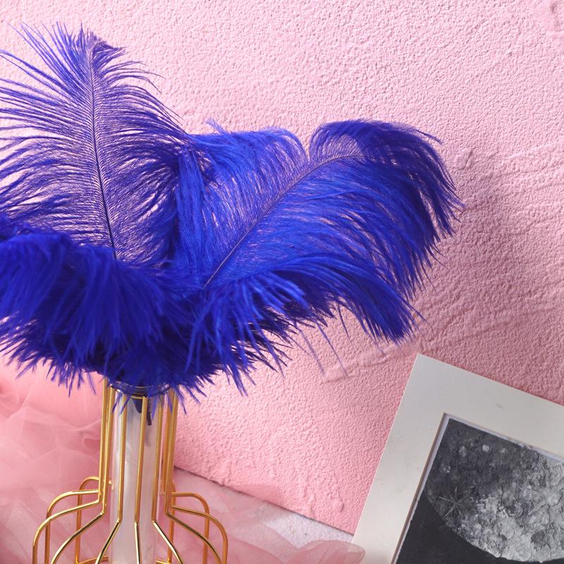 Color 20-25Cm Ostrich Hair Vase Ornament Wall Feather Decoration Hand Bouquet Flower Arrangement Diy Material