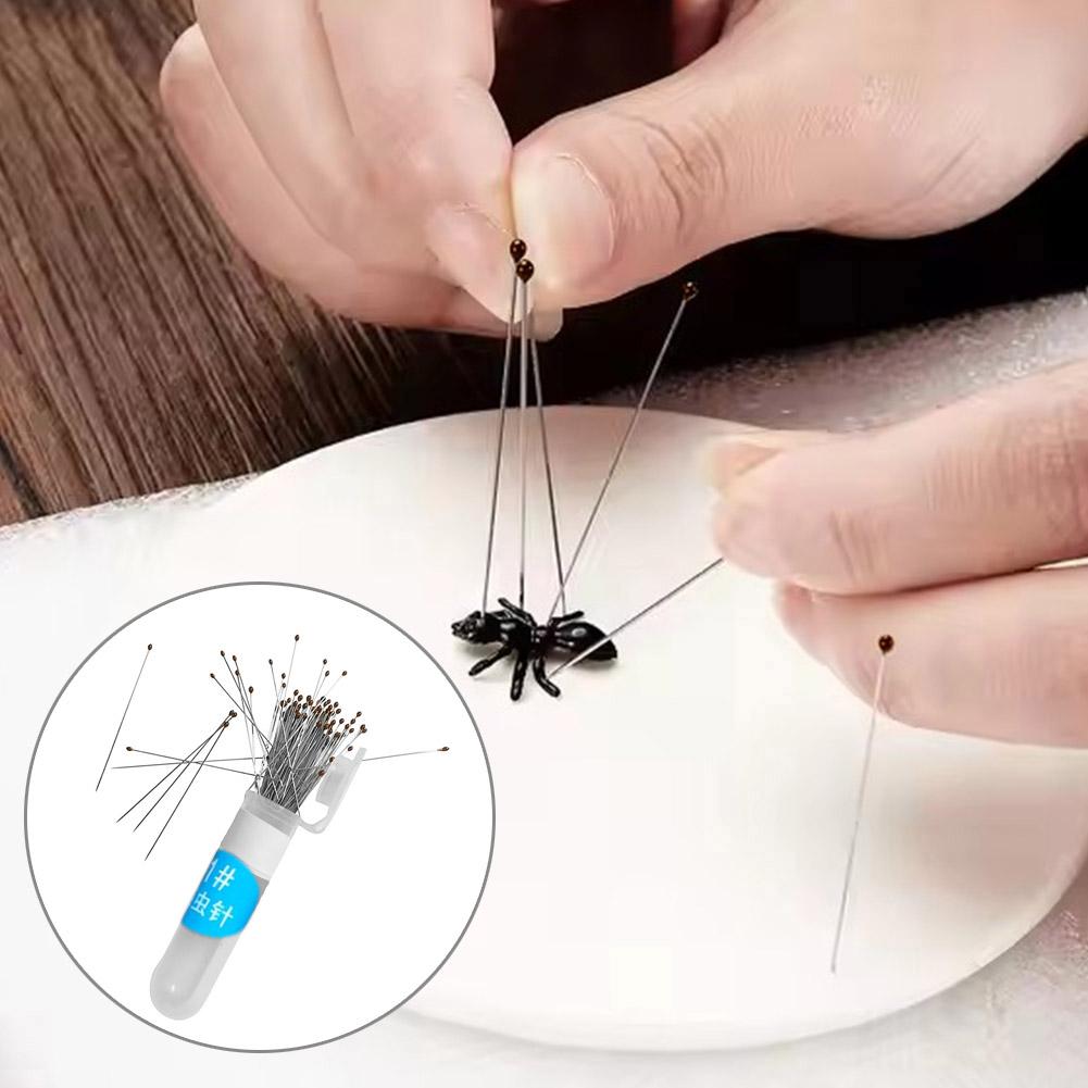 100pcs Stainless Steel Specimen Pins Insect Pins  For School Lab Education Entomology Body Dissection Positioning Insect Needle