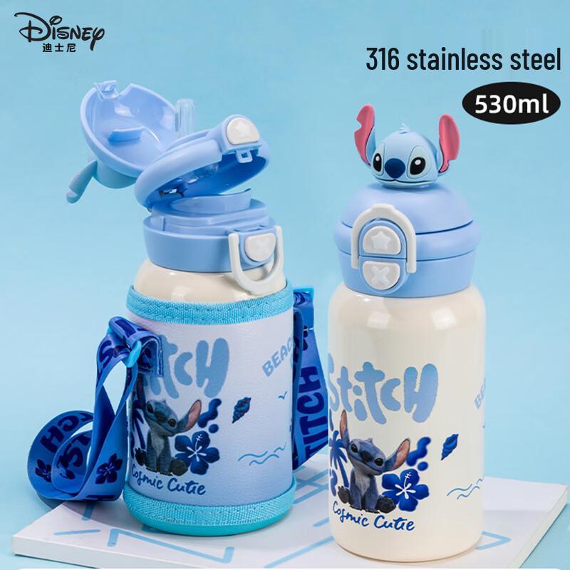 Disney Kids 316 Stainless Steel Insulated Water Bottle with Straw
