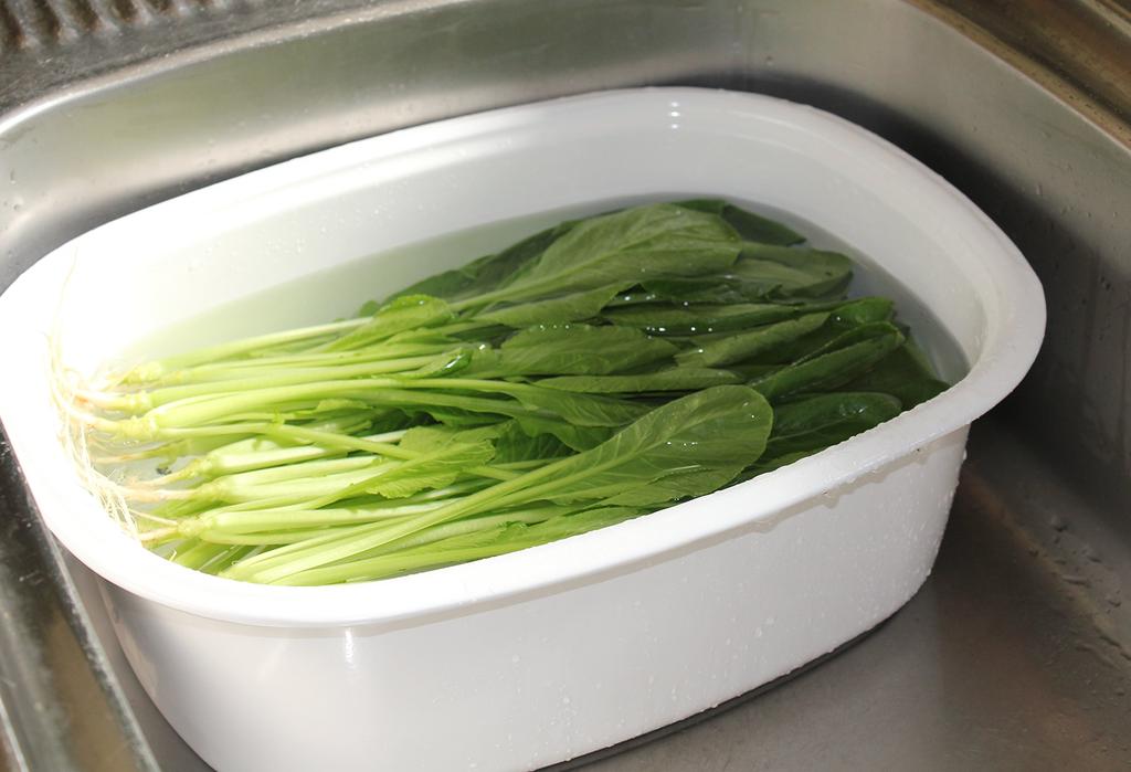 Noda Horo WA-O 8L Enamel Washtub, Oval, Made In Japan