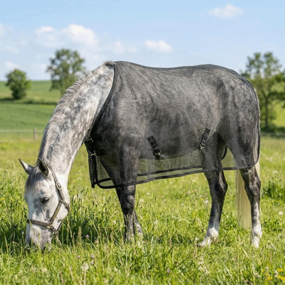 Breathable Horse Fly Sheet Wear-Resistant Equine Mesh Vest Horse Belly Protect Cover Horse Riding