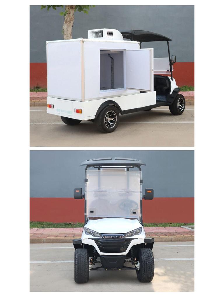 Electric Sightseeing and Delivery Van for Hotels and Campuses
