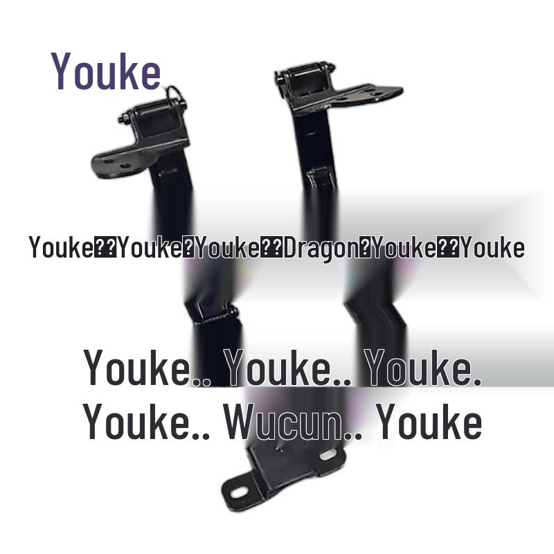 Iveco New Baodi Rear Double Door Hinge Limiter